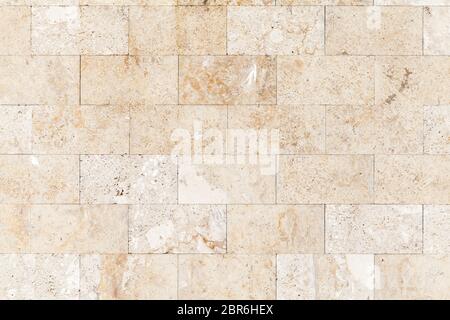 Mur de pierre en calcaire de shelly, c'est un calcaire fortement fossilifère, composé d'un certain nombre d'organismes fossilisés. Texture d'arrière-plan, face v Banque D'Images