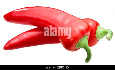 Red Chili Peppers (Capsicum annuum), fruits mûrs, traversé ensemble les gousses isolés Banque D'Images