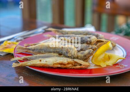 Plan de chinchard frit Banque D'Images