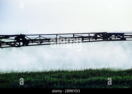 Des jets de l'engrais liquide du tracteur pulvérisateur. Tracteur avec l'aide d'un pulvérisateur de pulvérisations d'engrais liquides sur les jeunes dans le domaine du blé. L'utilisation Banque D'Images