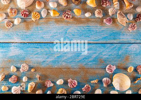 Concept de l'heure d'été avec des coquillages sur un fond en bois bleu et le sable. Les coquillages cadre sur fond de bois frontière nautique. Se concentrer sur les coquillages. Banque D'Images