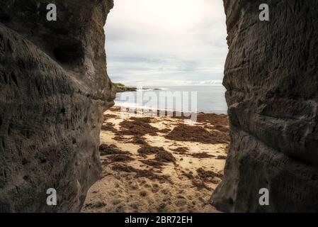 Vue sur la côte depuis l'intérieur d'une grotte sur la plage de Wipeout. La Jolla, Californie, États-Unis. Banque D'Images