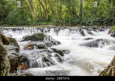 Chute d'eau de Jedkod Pongkonsao Centre d'étude naturelle et d'écotourisme, parc national de Khao Yai, Saraburi Thaïlande Banque D'Images