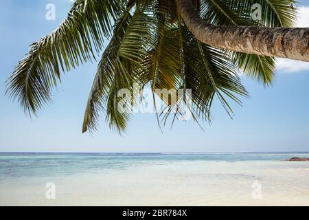 Vue panoramique de Turtle Bay Beach, l'île de Mahé, Seychelles Banque D'Images