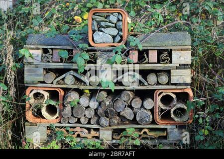 Un hôtel de insectes et d'autres invertébrés fait de palettes en bois avec des tuyaux, tuiles de toiture, des billes, des pierres et des morceaux de bois entourés de braml Banque D'Images