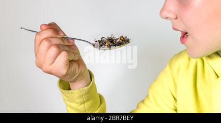 Enfant avec la bouche ouverte est titulaire d'une cuillère avec les insectes morts dans la main devant un fond gris Banque D'Images