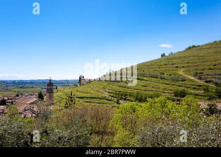 Paysage de collines de Valpolicella, la viticulture Italienne, Italie. Paysage rural Banque D'Images