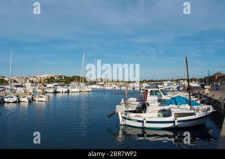 Côte près de Colonia de Sant Jordi (ou Colonia de San Jorge), Majorque, Espagne, Europe. Banque D'Images