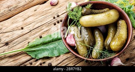 Concombres marinés.Concombres aux herbes et épices Banque D'Images