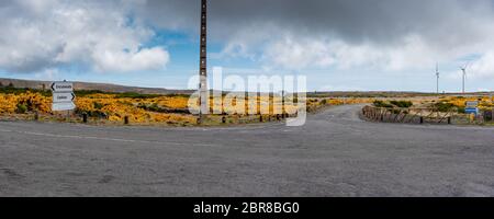 Jonction avec genista jaune en fleurs sur le plateau Paul da Serra sur l'île de Madère au Portugal. Banque D'Images