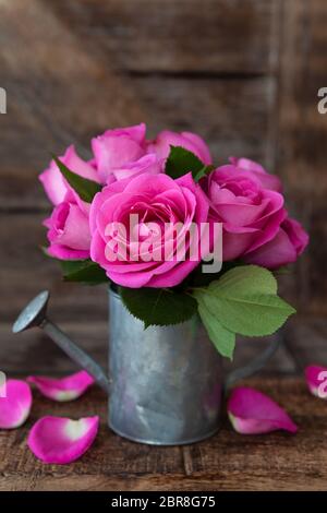 Petit bouquet de roses roses luxuriants dans vintage arrosoir Banque D'Images