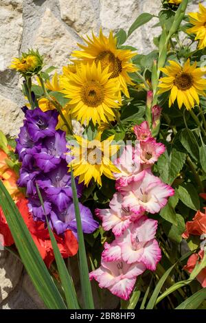 Fleurs de tournesol et de glaïeuls colorés dans le contexte d'une paroi calcaire Banque D'Images