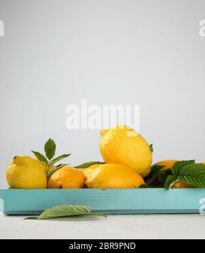 Tout frais mûrs citrons jaune sur une planche de bois bleu, les ingrédients pour la fabrication des boissons d'été, copy space Banque D'Images