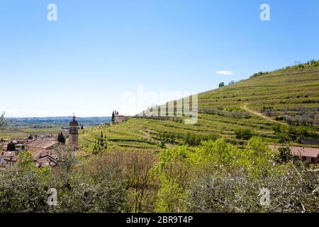 Paysage de collines de Valpolicella, la viticulture Italienne, Italie. Paysage rural Banque D'Images