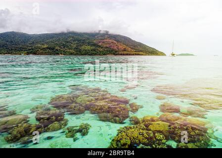 Belle nature paysage vert clair l'eau de mer et des récifs de coraux de Koh Lipe, Ko Adang Contexte En vertu de la lumière du soleil du matin au lever du soleil Banque D'Images