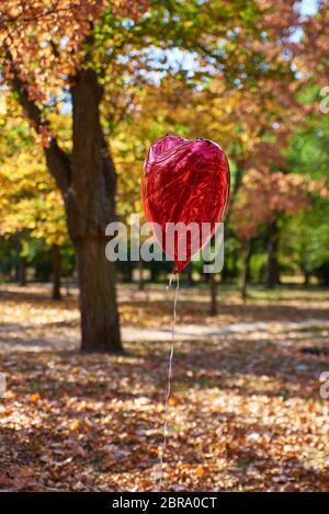 Ballon rouge va à l'autumn park contre l'arrière-plan de feuillage jaune tombé et arbres Banque D'Images