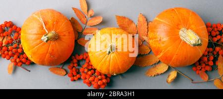 Cadre d'automne avec feuilles sèches, composition naturelle et décorative de citrouilles sur fond gris, Halloween saisonnière, fête d'action de grâce concept d'automne, c Banque D'Images