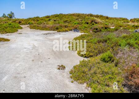 Paysage autour de Salin-de-Giraud situé dans dans la région de la Camargue, dans le sud de la France qui est montrant beaucoup de sel dans les étangs d'évaporation ambiance ensoleillée Banque D'Images