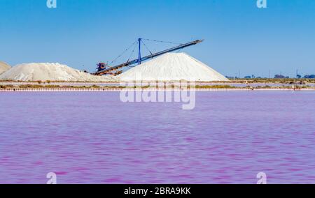 Paysages de sel dans la région de la Camargue, dans le sud de la France avec l'évaporation sel rose de l'étang dans l'ambiance ensoleillée Banque D'Images