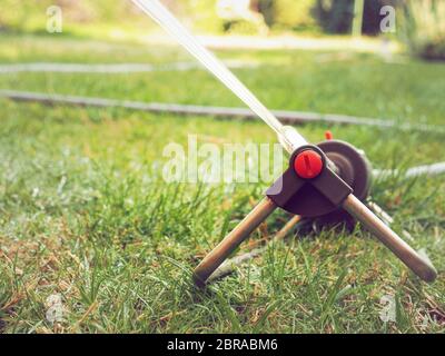 Close up d'un sprinkleur sur l'herbe de la pelouse Banque D'Images