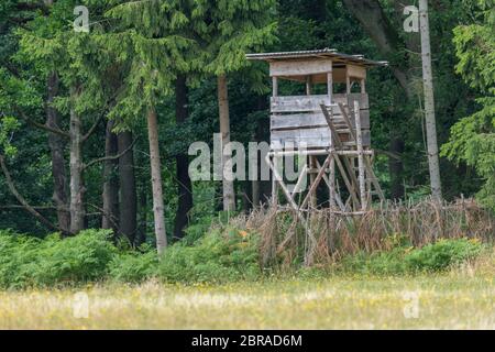 Siège Huntsman en bois haut au bord de la forêt devant un pré avec fond vert Banque D'Images