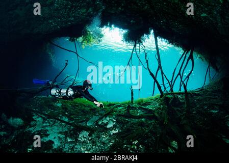 Plongeur technique Sidemount avec un chalumeau dans le cenote car Wash près de Tulum Banque D'Images