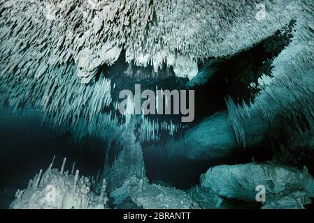 Formations de calcaire uniques dans le cenote Dreamgate au Mexique. Banque D'Images