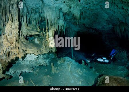 Formations de calcaire uniques dans le cenote Dreamgate au Mexique. Banque D'Images