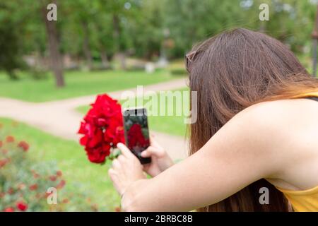 Woman taking photo de rose en parc avec son portable Banque D'Images