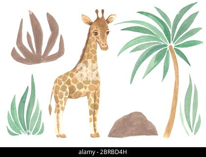 Ensemble de girafes aquarelles au milieu de la verdure et des palmiers. Dessin animé peint à la main pour enfants Banque D'Images