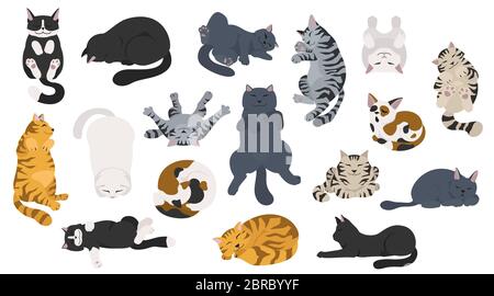 Les chats dormant posent. Plat de différentes couleurs style simple. Illustration vectorielle Illustration de Vecteur