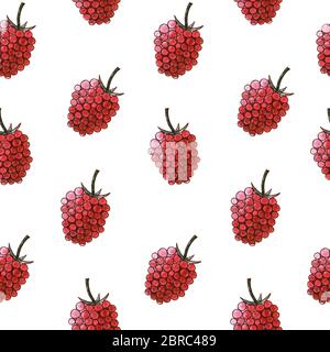 Motif aquarelle sans couture avec framboises sur fond blanc, aquarelle. Arrière-plan dessiné à la main. Utile pour les invitations, scrapbooking, design Banque D'Images