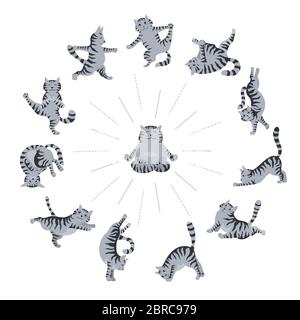 Chats yoga. Différentes poses et exercices de yoga. Couleurs de chat à rayures et tabby. Illustration vectorielle Illustration de Vecteur