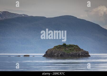 La faune et le paysage du sud-est de l'Alaska dans les îles Blashke attire les aventuriers lors d'une croisière en petit bateau. Banque D'Images