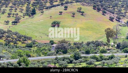 Paysage printanier dans la Sierra de Huelva. Parc naturel de Sierra de Aracena et Picos de Arche, Andalousie, Espagne Banque D'Images