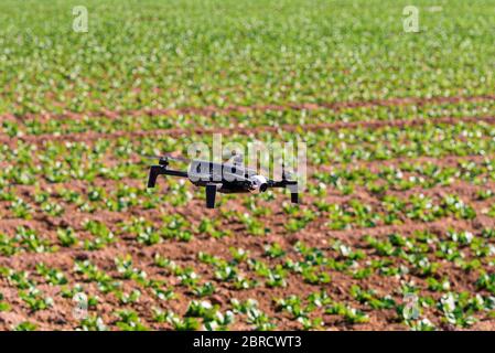 St Louis Missouri. -24 août : photo éditoriale d'un drone professionnel Parrot Anafi en vol avec un appareil photo numérique 4k monté le 24 août 2015 Banque D'Images