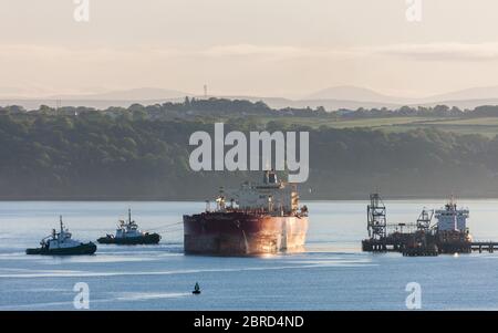 WhiteGate, Cork, Irlande. 21 mai 2020.pétrolier NS Champion est assisté par les remorqueurs DSG Titan et Alex sur le décollage de la jetée après avoir déchargé sa cargaison de brut à la raffinerie de pétrole Irving à Whitegate, Co. Cork, Irlande. Depuis le déclenchement de la pandémie Covid-19, la demande de pétrole a chuté sur les marchés internationaux, ce qui a entraîné une pénurie de capacité de stockage dans l'ensemble du monde. - crédit; David Creedon / Alamy Live News Banque D'Images