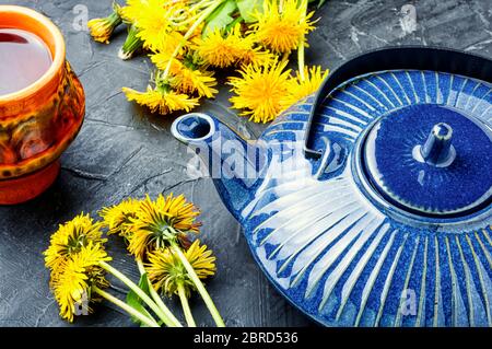 Thé aux herbes parfumé provenant de pissenlits à fleurs.thé de pissenlits sain. Banque D'Images