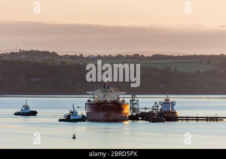 WhiteGate, Cork, Irlande. 21 mai 2020. Le pétrolier NS Champion est assisté par les remorqueurs DSG Titan et Alex alors qu'elle se prépare à se jeter à l'aube après avoir déchargé sa cargaison de brut à la raffinerie Irving Oil de Whitegate, Co. Cork, Irlande. Depuis le déclenchement de la pandémie Covid-19, la demande de pétrole a chuté sur les marchés internationaux, ce qui a entraîné une pénurie de capacité de stockage dans l'ensemble du monde. - crédit; David Creedon / Alamy Live News Banque D'Images