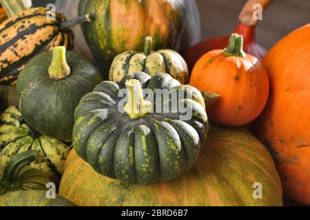 Groupe de variétés de courbets et de citrouilles d'hiver Banque D'Images