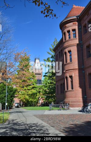CAMBRIDGE, USA - 20 OCTOBRE 2014 : cour de l'université de Harvard. Harvard est la plus prestigieuse et la plus ancienne université des États-Unis Banque D'Images