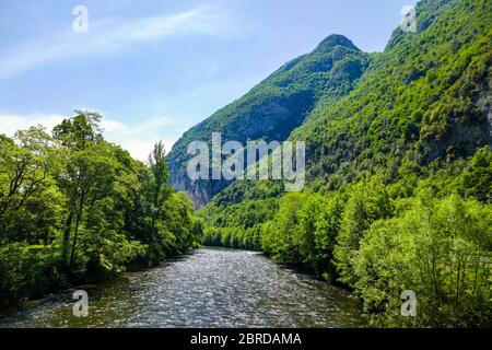 Verdure printanière et rivière Ariège traversant les Pyrénées, Ariège, Pyrénées françaises, France Banque D'Images