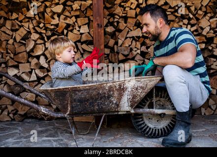 Un père et un jeune garçon à l'extérieur en été, travaillant avec du bois de chauffage. Banque D'Images