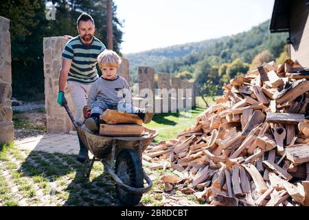 Un père et un jeune garçon à l'extérieur en été, travaillant avec du bois de chauffage. Banque D'Images