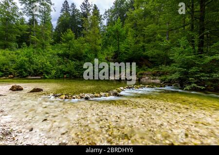 Nature forestière incroyable avec ruisseau de rivière avec des rochers dans la merveilleuse lumière du soleil printemps été. La nature est magnifique petite cascade dans une forêt verte luxuriante feuillage Banque D'Images