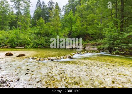 Nature forestière incroyable avec ruisseau de rivière avec des rochers dans la merveilleuse lumière du soleil printemps été. La nature est magnifique petite cascade dans une forêt verte luxuriante feuillage Banque D'Images