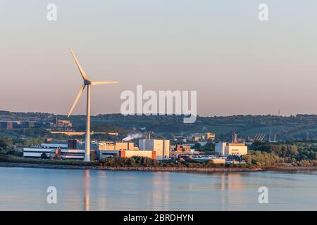Ringaskiddy, Cork, Irlande. 21 mai 2020. Photo en début de matinée de l'usine Johnson & Johnson de Ringaskiddy, Co. Cork, Irlande. Le géant pharmaceutique vient d'annoncer le retrait de la vente de sa poudre pour bébés de talc dans les supermarchés aux États-Unis et au Canada. La société a précisé qu'elle n'avait pas l'intention de retirer le produit des étagères des supermarchés irlandais, bien qu'il ait été retiré de la vente en Amérique du Nord. Les ventes aux États-Unis et au Canada ont chuté ces dernières années en raison de l'évolution des habitudes des consommateurs et des craintes que le produit cause le cancer. En annonçant la décision de retirer la poudre de bébé de talc f Banque D'Images