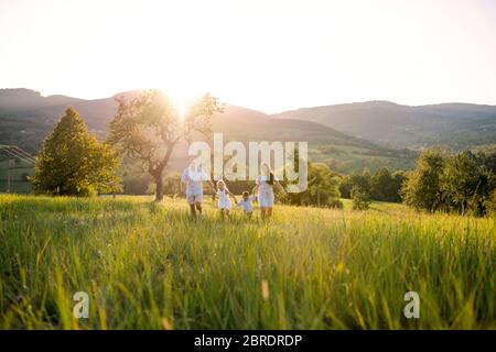 Jeune famille avec deux petits enfants marchant sur la prairie à l'extérieur au coucher du soleil.