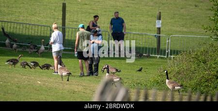 Brentwood Essex 21 mai 2020 les parcs nationaux d'Essex sont ouverts au public pour la première fois depuis le début de l'isolement. North Weald Country Park, Brentwood Essex crédit : Ian Davidson/Alay Live News Banque D'Images