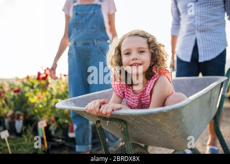 Grands-parents poussant la petite-fille dans la brouette lors du jardinage. Banque D'Images